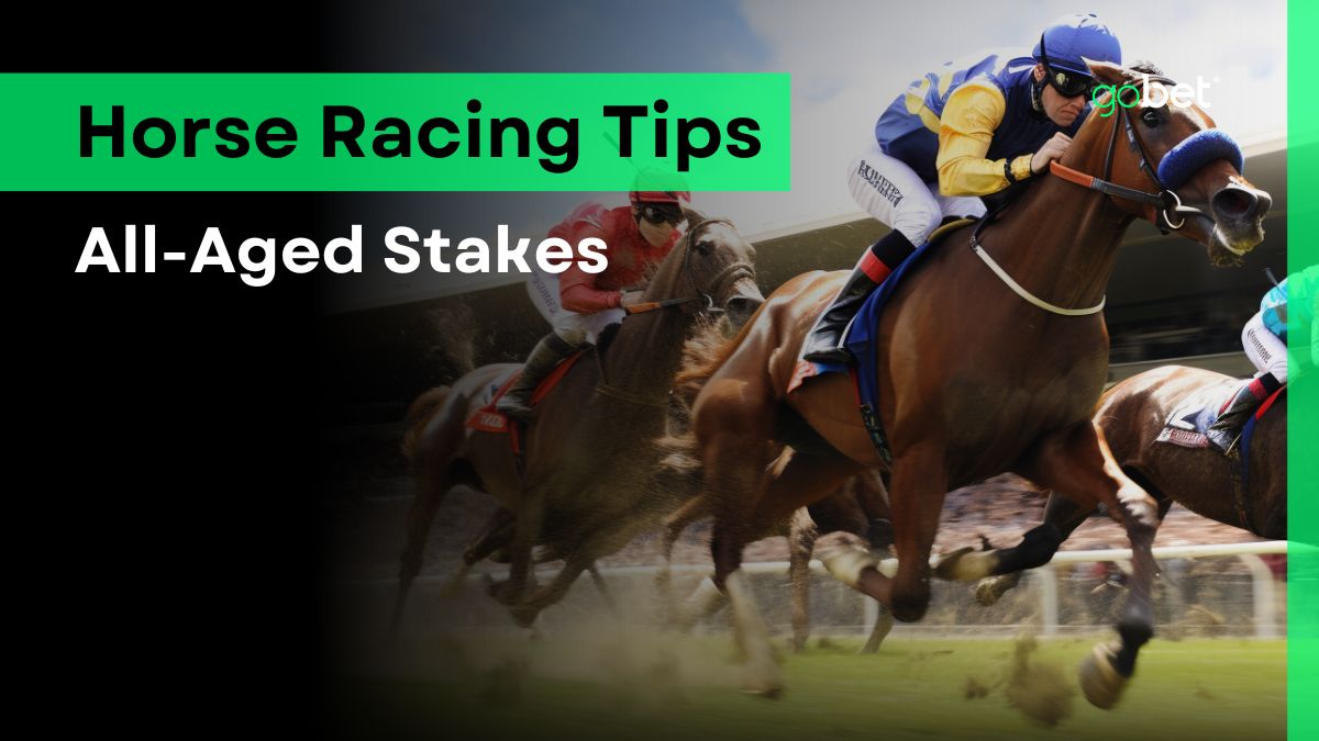 All-Aged Stakes 2024 Betting Tips