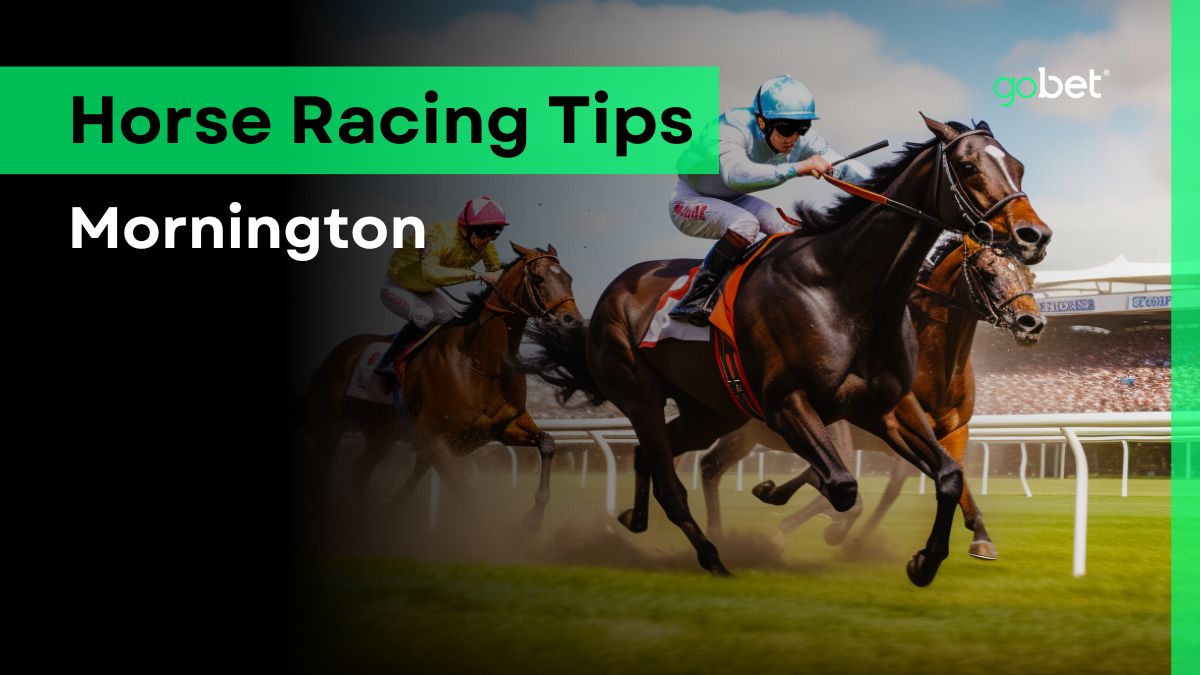 gobet mornington horse racing tips