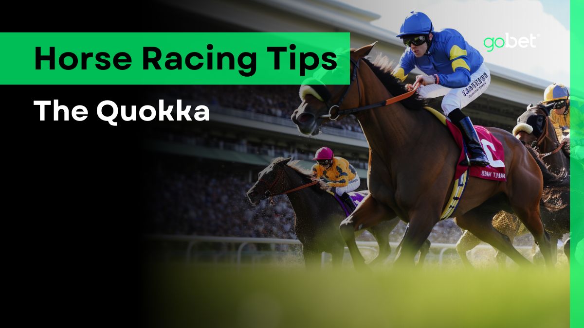 gobet the quokka horse racing tips